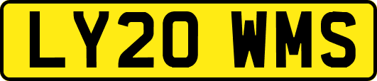 LY20WMS