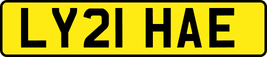 LY21HAE