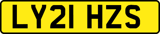 LY21HZS
