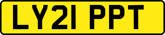 LY21PPT