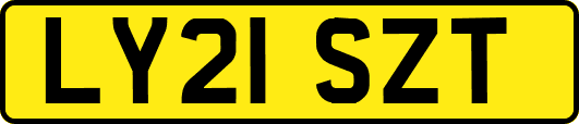LY21SZT