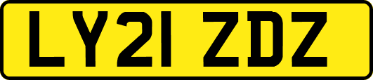 LY21ZDZ