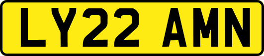 LY22AMN