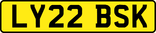 LY22BSK