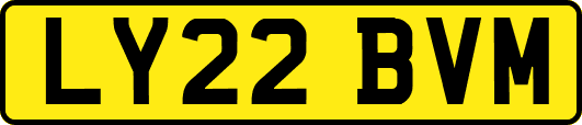 LY22BVM