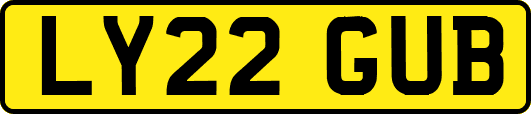 LY22GUB