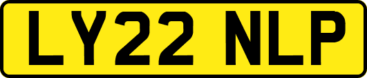 LY22NLP
