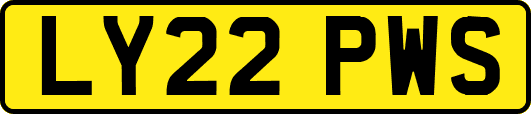 LY22PWS
