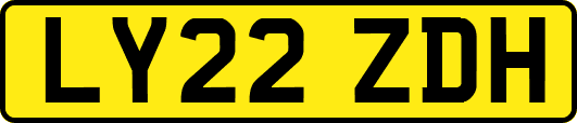 LY22ZDH