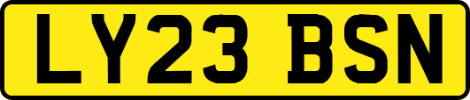 LY23BSN