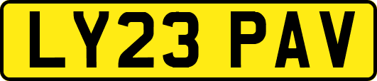 LY23PAV