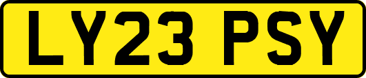 LY23PSY