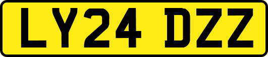 LY24DZZ