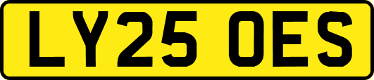 LY25OES