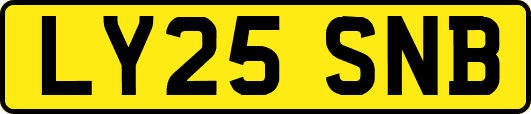 LY25SNB