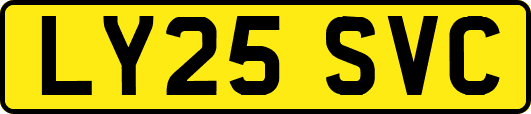 LY25SVC