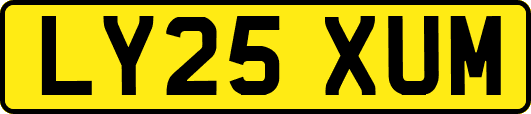 LY25XUM