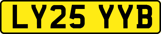 LY25YYB