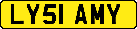 LY51AMY