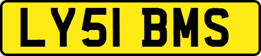 LY51BMS