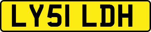 LY51LDH