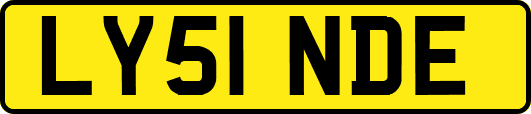 LY51NDE
