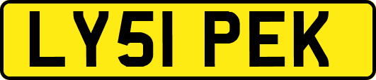 LY51PEK