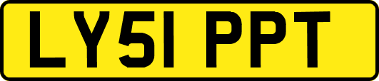 LY51PPT
