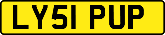 LY51PUP