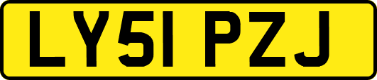 LY51PZJ