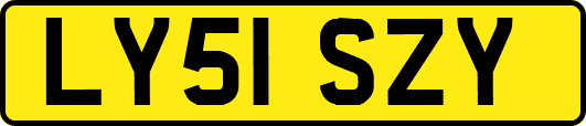 LY51SZY