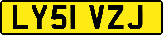 LY51VZJ