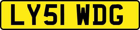 LY51WDG