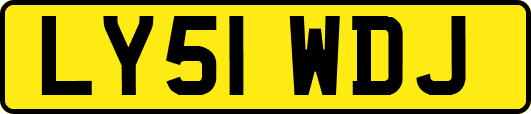 LY51WDJ
