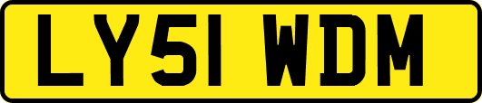 LY51WDM