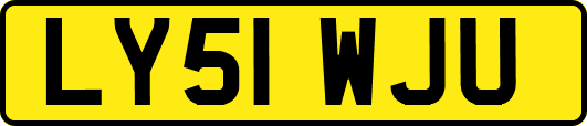 LY51WJU