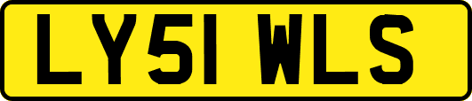 LY51WLS
