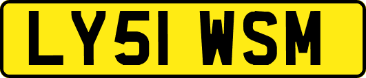 LY51WSM