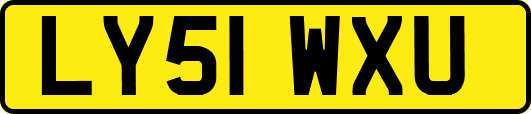 LY51WXU