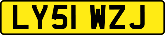 LY51WZJ