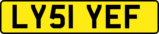 LY51YEF