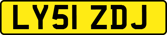 LY51ZDJ
