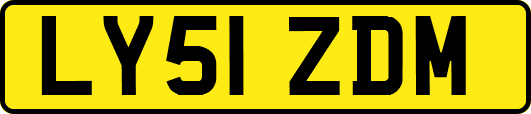 LY51ZDM