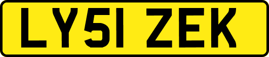 LY51ZEK
