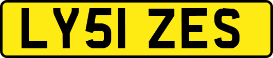LY51ZES