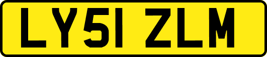 LY51ZLM