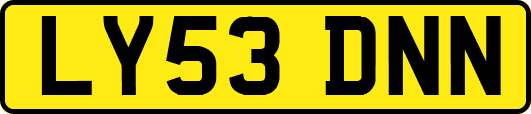 LY53DNN