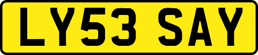 LY53SAY
