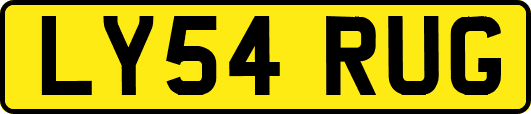 LY54RUG