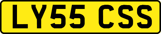 LY55CSS